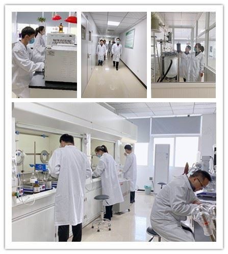 CAS:2437-29-8 | Malachite Green Oxalate