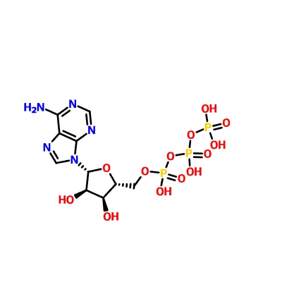 CAS: 56-65-5 adenozin trifosfat