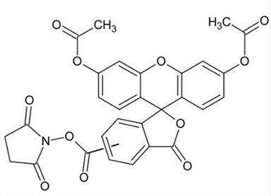 CAS:150347-59-4|5(6)-CFDA N-suksinimidil Ester