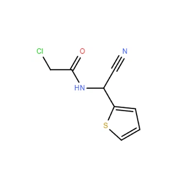 CAS 263137-41-3|2-Xloro-N-(-siyano-2-tenil)asetamid