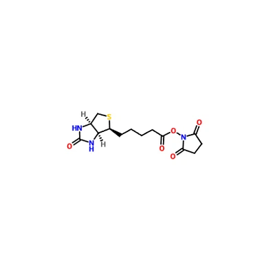 CAS 35013-72-0|BIOTIN-NHS