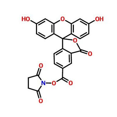 CAS:92557-80-7|5-FAM N-suksinimidil Ester